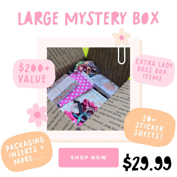 Mystery Box Sale! 2 Different Box Sizes. Boxes Are Valued Between $100 - $200!